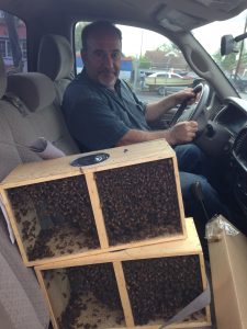 Bees In Truck, Pleasant Ridge B&B, La Conner